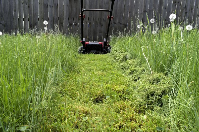 Field Mowing in Prince Georges County, MD