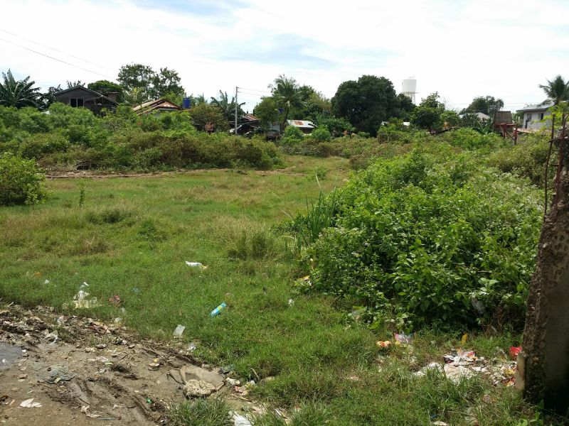 Vacant Land Care